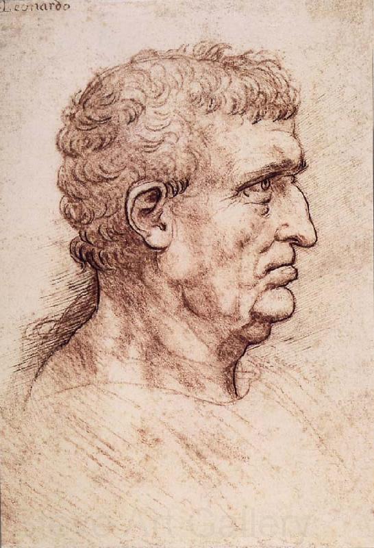LEONARDO da Vinci Profile of a man Germany oil painting art